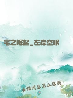 宅之崛起