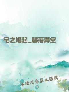 宅之崛起