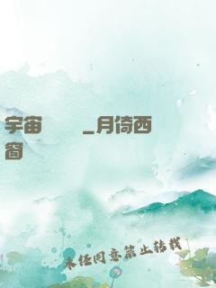 宇宙無敵艦隊