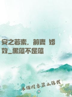 安之若素，前妻離婚無效