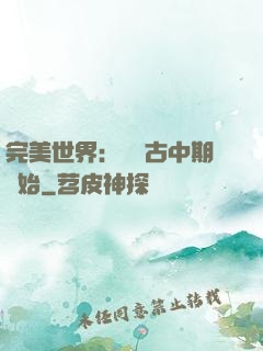完美世界：從亂古中期開始