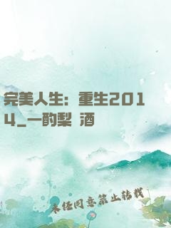 完美人生：重生2014