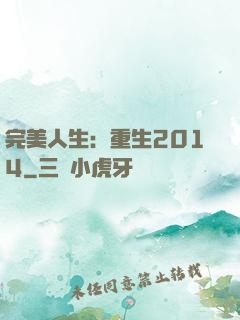 完美人生：重生2014