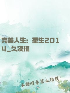 完美人生：重生2014