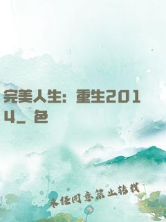 完美人生：重生2014