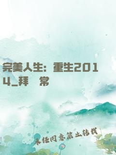 完美人生：重生2014
