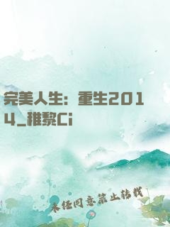 完美人生：重生2014
