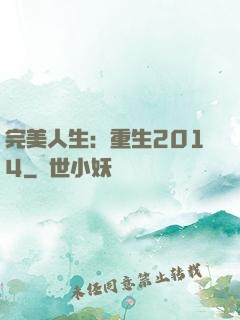 完美人生：重生2014