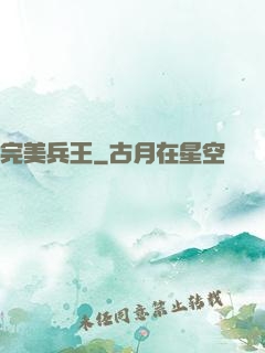 完美兵王