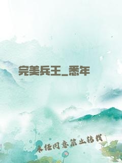 完美兵王
