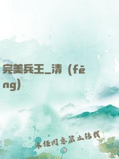 完美兵王
