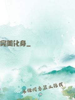 完美化身