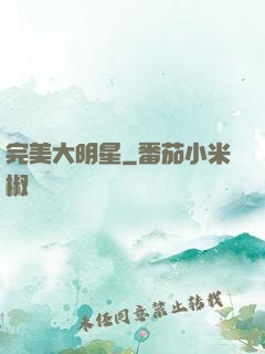 完美大明星