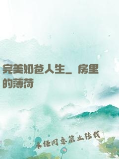 完美奶爸人生