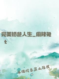 完美奶爸人生