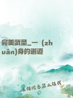 完美武圣