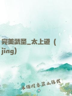 完美武圣