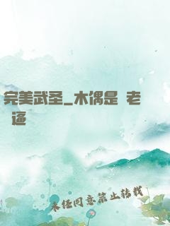 完美武圣