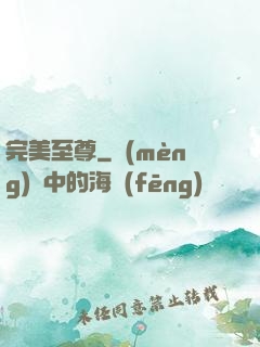 完美至尊