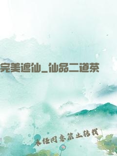 完美遮仙