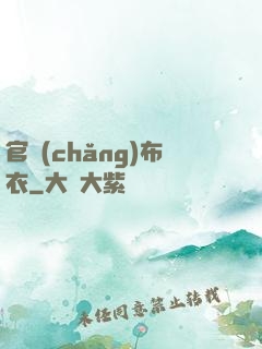 官場(chǎng)布衣