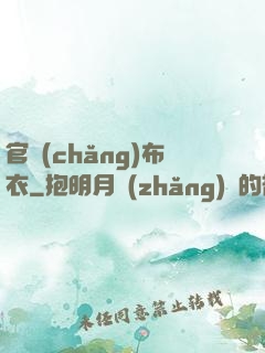 官場(chǎng)布衣