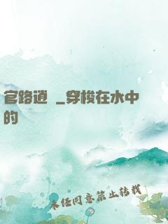 官路逍遙