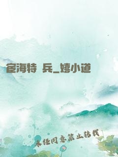 宦海特種兵