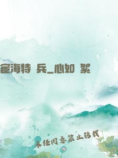 宦海特種兵