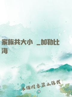 家族共大小說