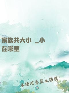 家族共大小說