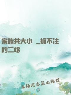 家族共大小說