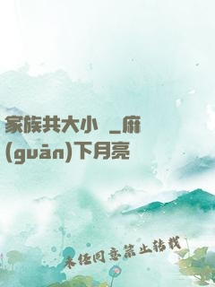 家族共大小說