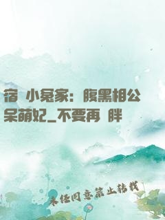 宿敵小冤家：腹黑相公呆萌妃