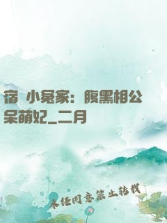 宿敵小冤家：腹黑相公呆萌妃