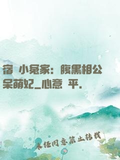 宿敵小冤家：腹黑相公呆萌妃