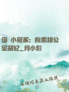 宿敵小冤家：腹黑相公呆萌妃