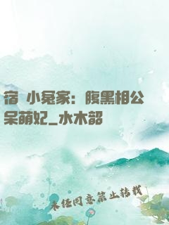 宿敵小冤家：腹黑相公呆萌妃