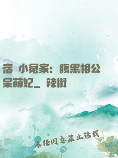 宿敵小冤家：腹黑相公呆萌妃