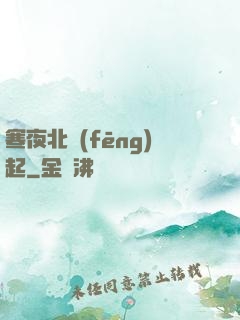 寒夜北風(fēng)起