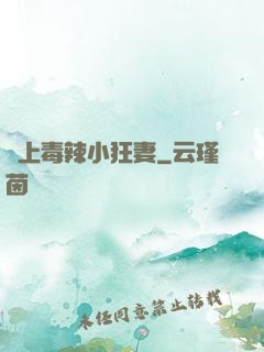 寵上毒辣小狂妻