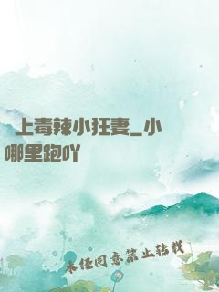 寵上毒辣小狂妻