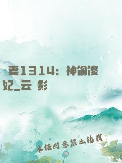 寵妻1314：神偷傻妃