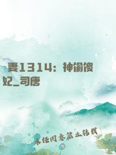 寵妻1314：神偷傻妃