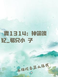 寵妻1314：神偷傻妃