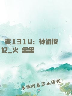 寵妻1314：神偷傻妃
