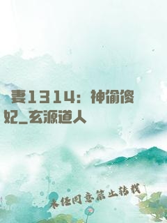 寵妻1314：神偷傻妃