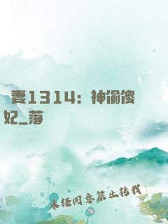 寵妻1314：神偷傻妃