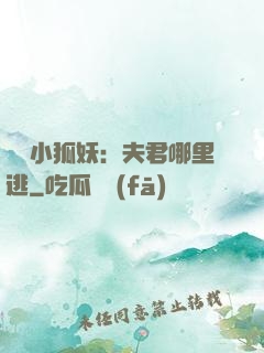 寵寵小狐妖：夫君哪里逃