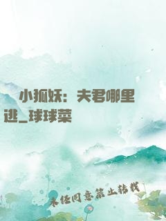 寵寵小狐妖：夫君哪里逃